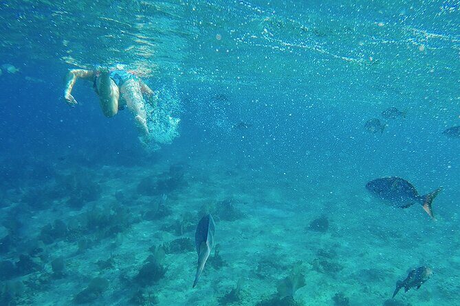 Amazing Catamaran Only Adults with Open Bar to Isla Mujeres! - Who This Tour Is Best For