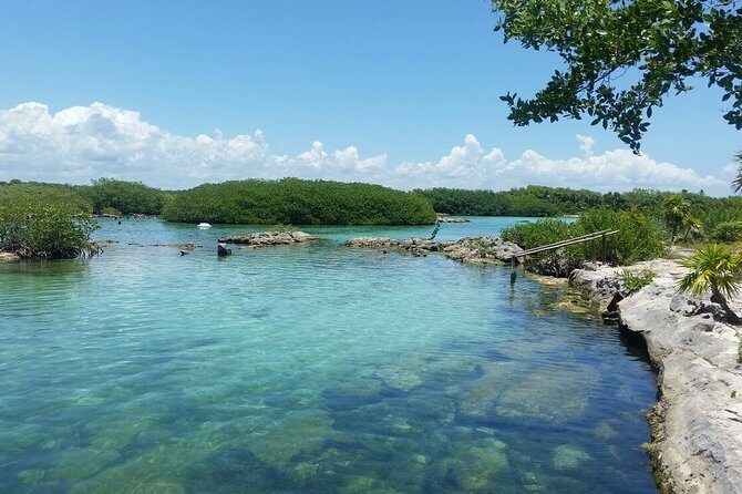Amazing Cenote Yalku, swim in sacred waters. Transport & Guide - A Deep Dive into the Experience