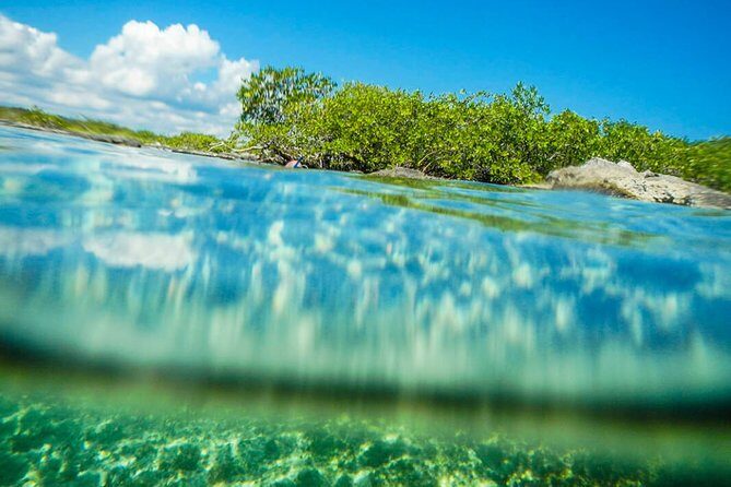 Amazing Cenote Yalku, swim in sacred waters. Transport & Guide - FAQ