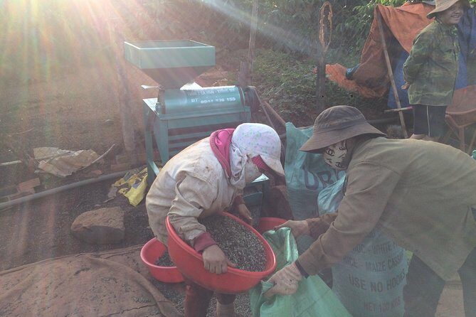Amazing Coffee full-day tour in Buon Ma Thuot - Daklak - Who Is This Tour Best For?