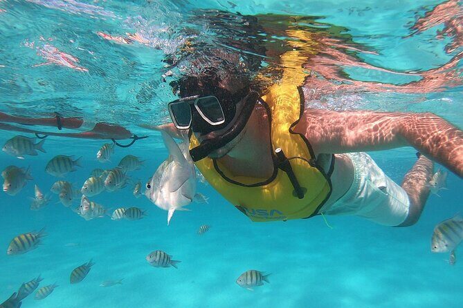 Amazing Cozumel Buggy Adventure Around the Island - Final Thoughts