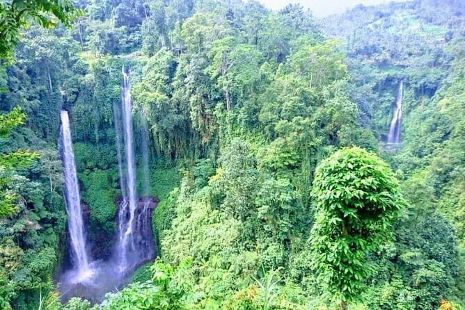 Amazing Day Tour: Highlights of Ubud Village Hidden Waterfall - The Sum Up
