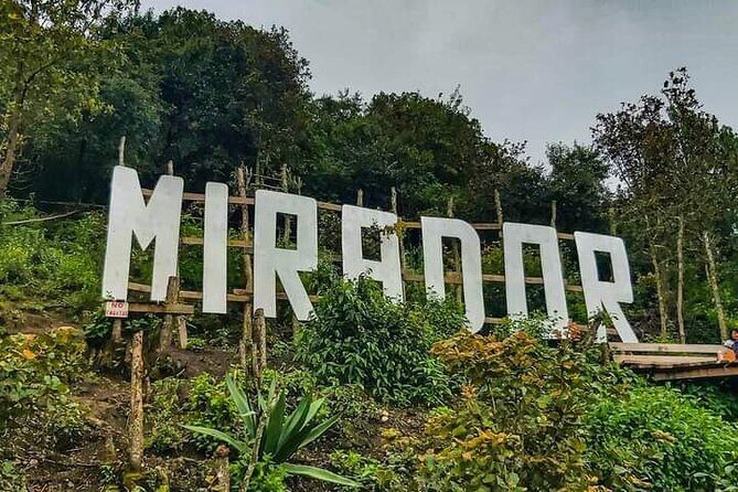 Amazing experience in the mountain of San Jose del Pacifico - Frequently Asked Questions