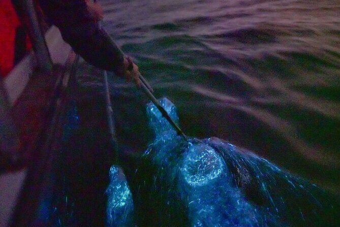 Amazing Fireflies With Blue Tears Watching & Kuala Selangor Tour - Exploring the Itinerary: What to Expect and Why It Matters
