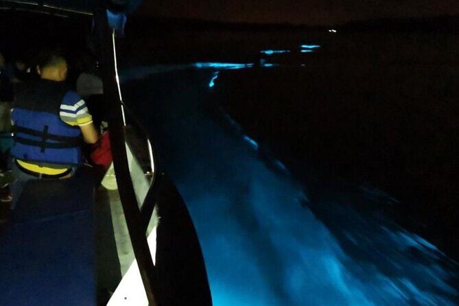 Amazing Fireflies With Blue Tears Watching & Kuala Selangor Tour - Pricing and Overall Value