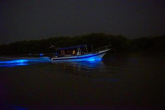 Amazing Fireflies With Blue Tears Watching & Kuala Selangor Tour - The Sum Up