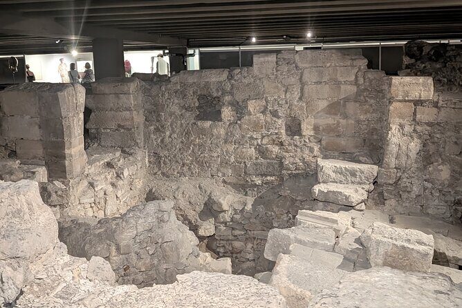 Amazing guided Notre dame and Ile de la cité tour with crypt - Who Will Love This Tour?