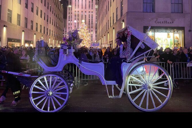 Amazing Horse and Carriage Rockefeller and Christmas lights tour - What to Expect from the Tour