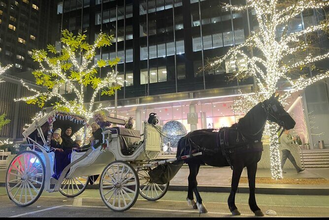 Amazing Horse and Carriage Rockefeller and Christmas lights tour - The Value of This Experience