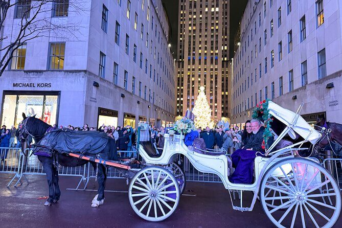Amazing Horse and Carriage Rockefeller and Christmas lights tour - FAQ