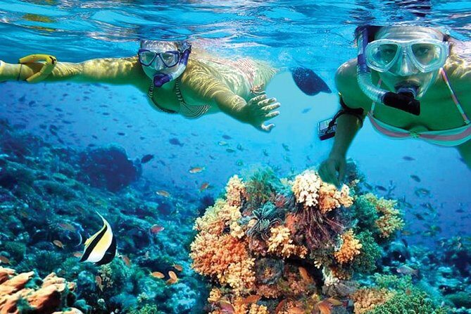 Amazing Isla Mujeres Tour with snorkeling, lunch and Open Bar - Key Points