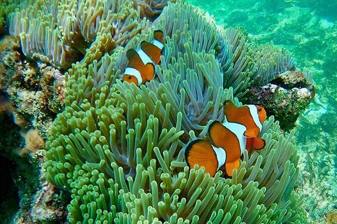 Amazing Krabi 7 Islands One Day Snorkeling Tour By Big Longtail Boat - Final Thoughts: Is This Tour Right for You?