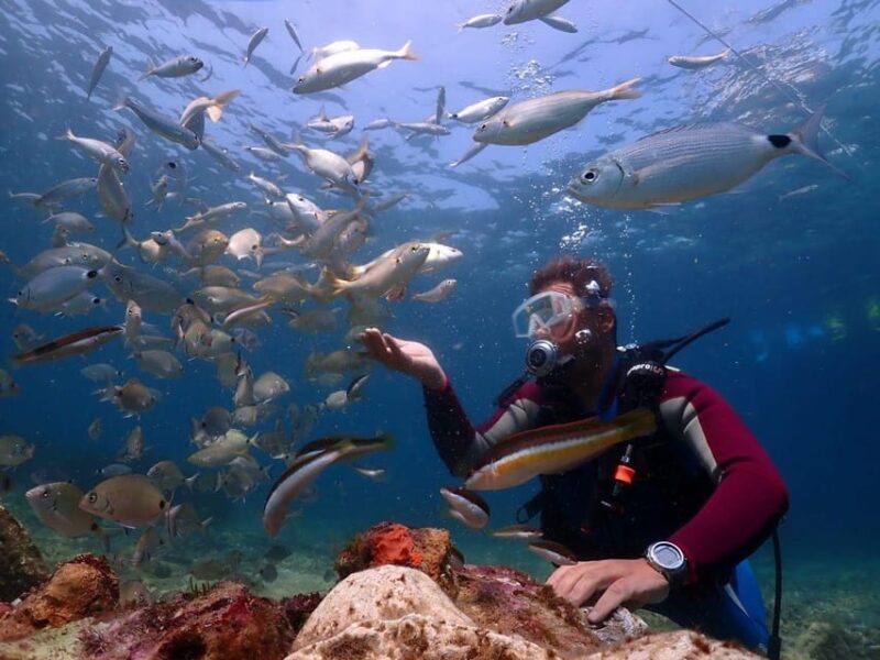 AMAZING KUSADASI SCUBA DIVING - Authentic Insights from Travelers