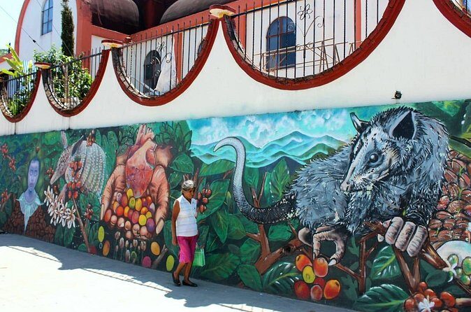 Amazing Mountain Coffee Private Experience - FAQs