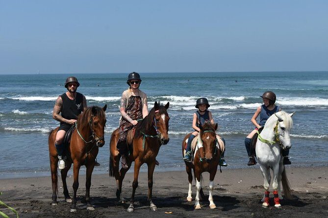 Amazing Private Tour: Horse riding-Kintamani volcano-Tegalalang-Tirta empul - A Deep Dive into the Day: What to Expect