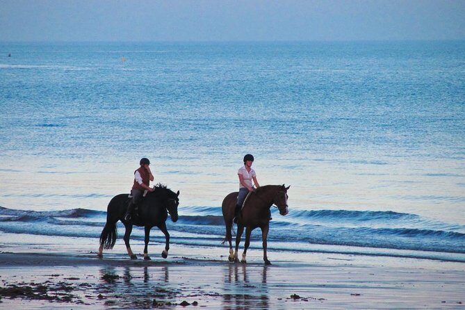 Amazing Private Tour: Horse riding-Kintamani volcano-Tegalalang-Tirta empul - Final Thoughts