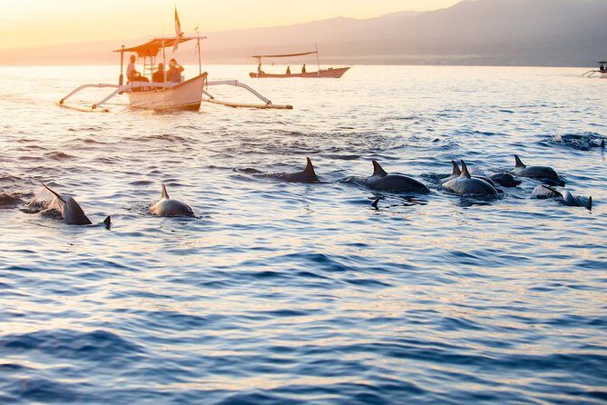Amazing Private Tours: Dolphins Lovina and Gitgit Waterfall include Lunch - An In-Depth Look at the Tour
