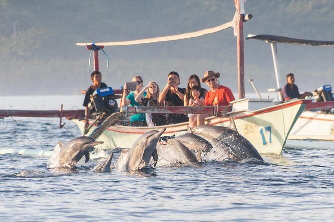 Amazing Private Tours: Dolphins Lovina and Gitgit Waterfall include Lunch - Authentic Experiences and Practical Details
