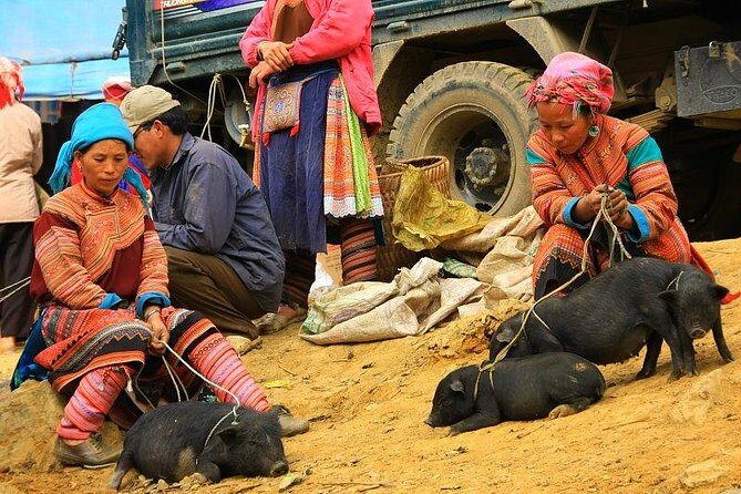Amazing Sapa Hiking & Sightseeing - An honest look at the journey: What to expect from this Sapa tour