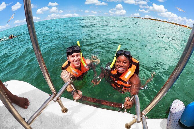 Amazing Snorkeling Experience + Real Mexican Tacos - Key Highlights of Marine Life