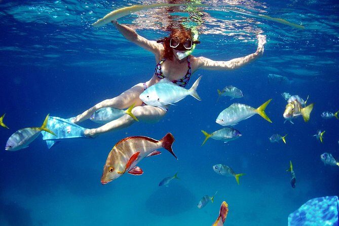 Amazing snorkeling full-day tour to Cozumel Cielo Starfish Reef - What You’ll Get for Your $165