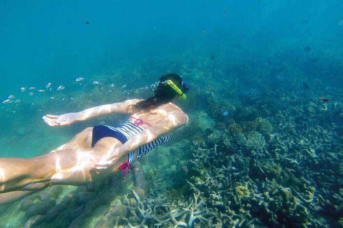Amazing Snorkeling in Bali - Key Points