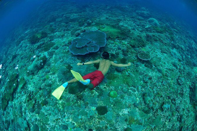 Amazing Snorkeling in Bali - An In-Depth Look at the Snorkeling Tour Experience