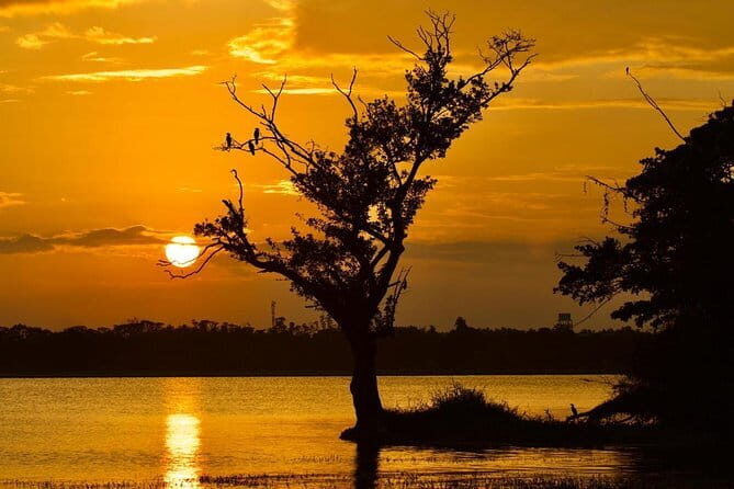Amazing Sri Lanka Round Tour 8 Days Exploring - Guided Tour - FAQ