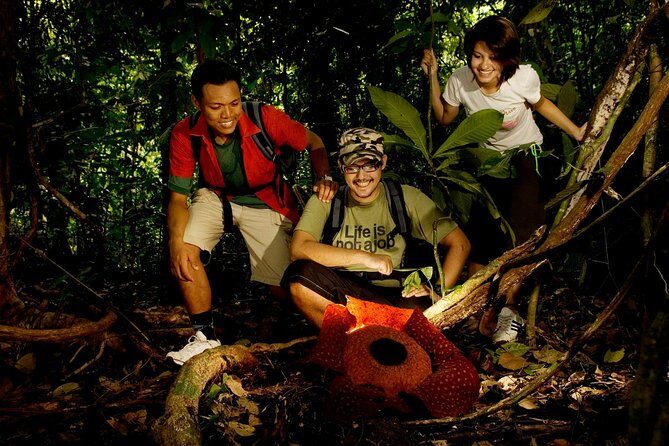 Amazing Taman Negara Day Trip from Kuala Lumpur Including Lunch - Exploring Taman Negara: A Full-Day Adventure from Kuala Lumpur