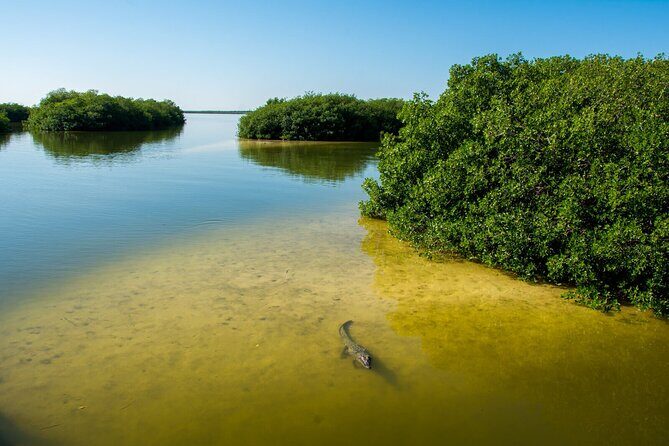 Amazing Tour in Sian Kaan biosphere with Transportation from Cancún! - Final Thoughts: Who Should Consider This Tour?