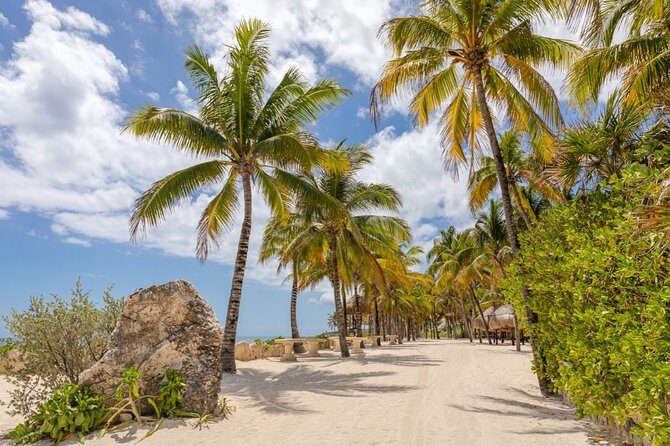 Amazing tour to 3 eco-parks with extreme and incredible adventures. - Final Thoughts