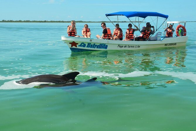 Amazing tour to Sian Kaan Biosphere Reserve. Perfect tour for nature lovers - Final Thoughts