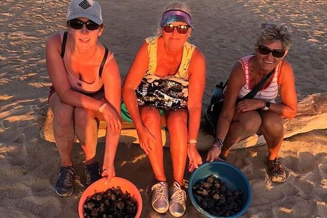 Amazing Turtle Release Tour - A Deep Dive into the Experience