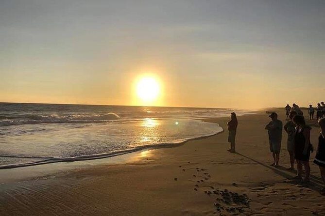 Amazing Turtle Release Tour - Who Will Appreciate This Tour?