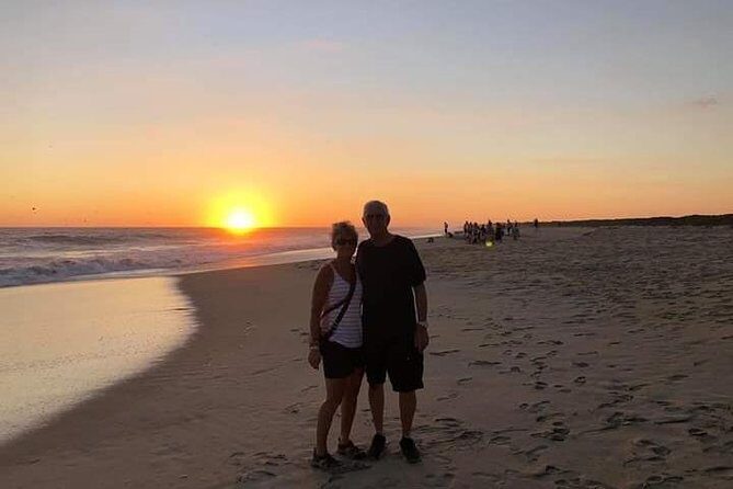 Amazing Turtle Release Tour - Final Thoughts: Is This Tour Right for You?