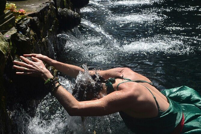 Amazing Ubud Half Day Private Tour All Inclusive - A Deep Dive into the Ubud Experience: What to Expect