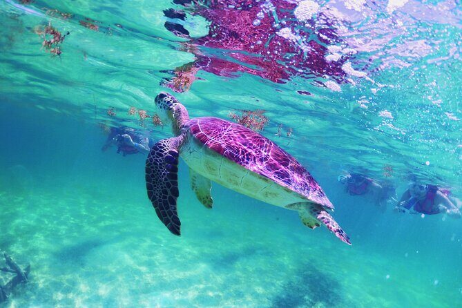 Amazing Underwater Discovery Tour - Final Thoughts