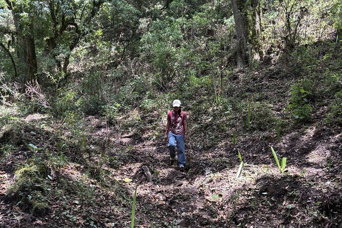 Amazing Walk through the Zapotec Mountains with Hot Chocolate - The Sum Up