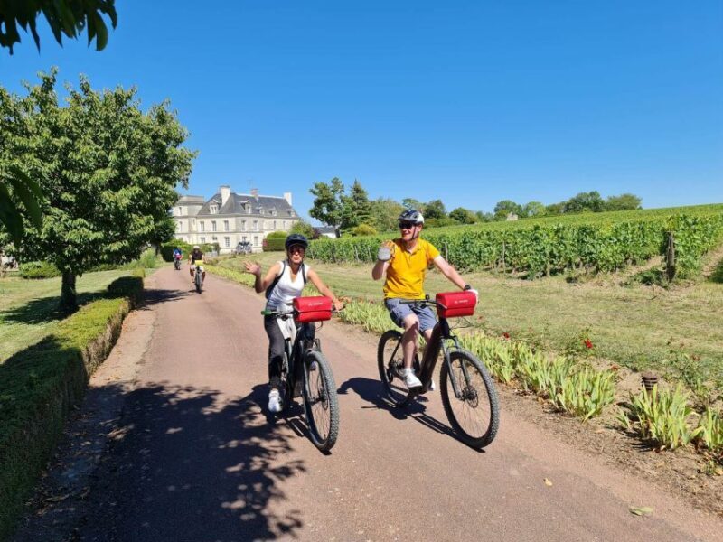 Amboise: Highlights Private E-Bike Tour w/ Clos Lucé Ticket - Why This Tour Offers Good Value