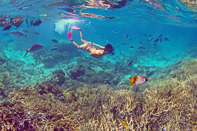 Amedee Lighthouse - An Overview of the Experience