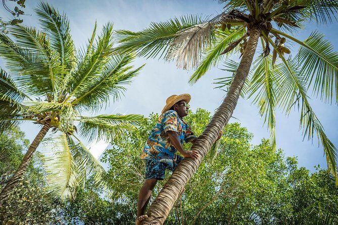 Amedee Lighthouse - Pricing and Value