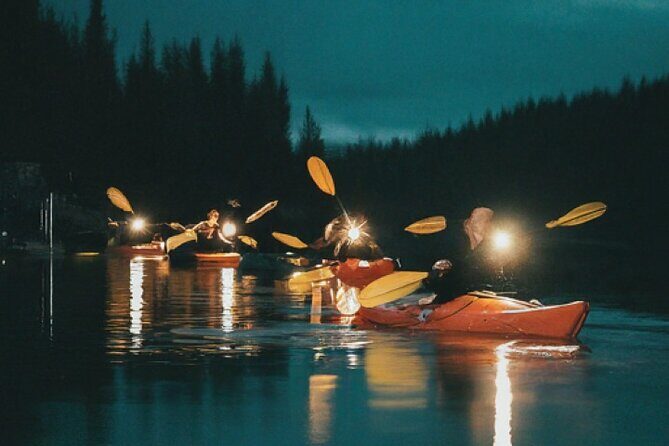 Amelia Full Moon Paddle at Talbot Islands State Park - Key Points