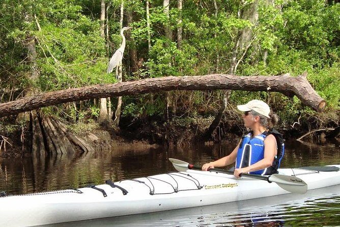 Amelia Island Area Kayak Rental on Lofton Creek with Adventures Up The Creek - The Highlights of Lofton Creek Kayaking