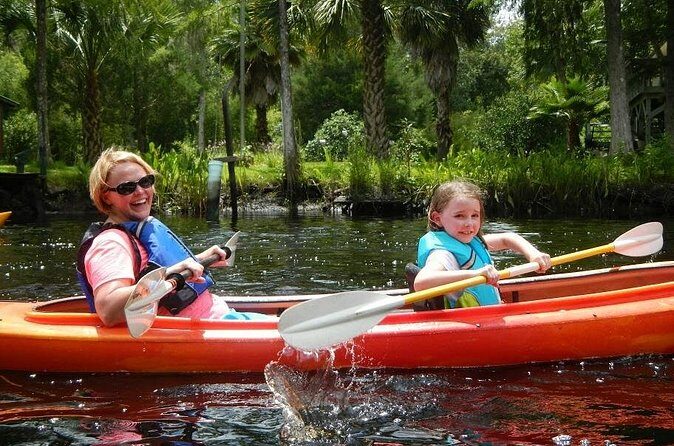Amelia Island Area Kayak Rental on Lofton Creek with Adventures Up The Creek - Who Would Enjoy This Experience?