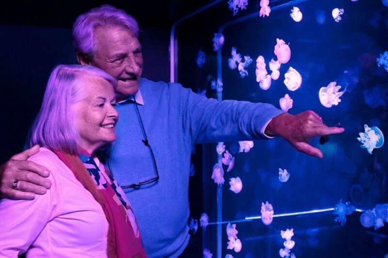 American Dream: SEA LIFE® Aquarium Entry Ticket - A Close Look at the SEA LIFE® Aquarium Experience