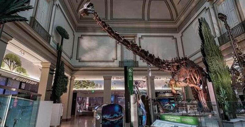 American History/Natural History Museum Combo Guided Tour - Introduction and What to Expect