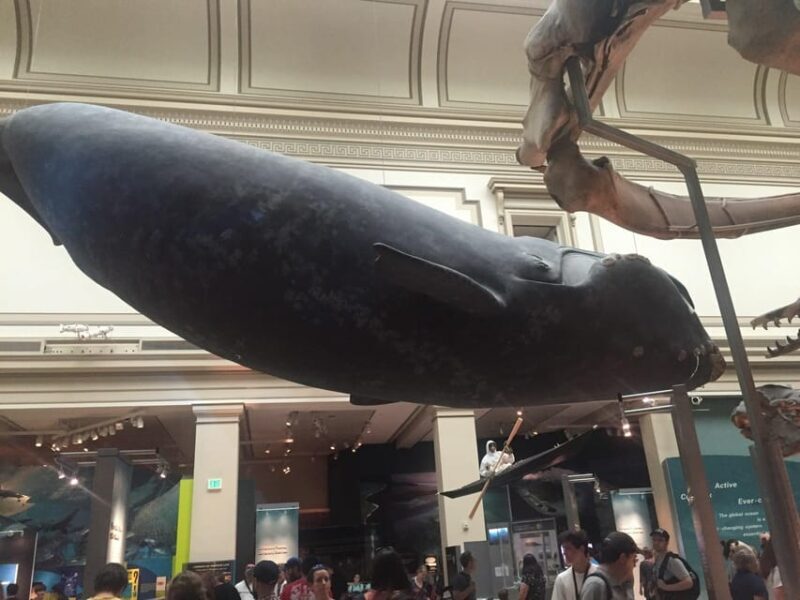 American History/Natural History Museum Combo Guided Tour - Practical Details and Tips