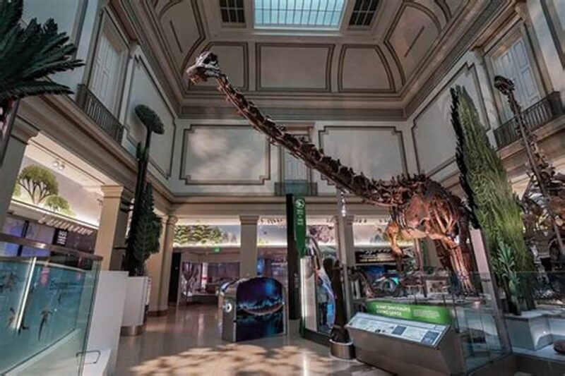 American History/Natural History Museum Combo Guided Tour - Who Will Love This Tour?
