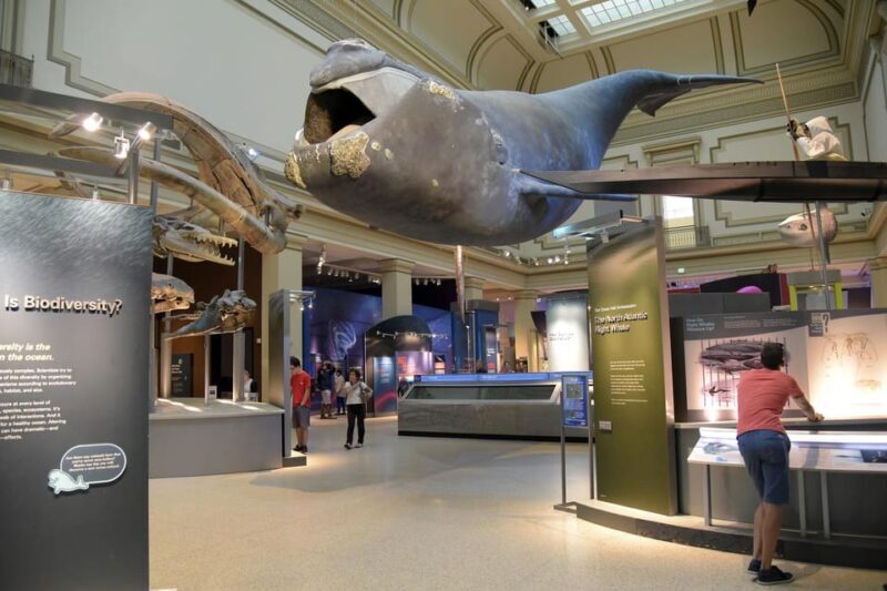 American History/Natural History Museum Combo Guided Tour - FAQ