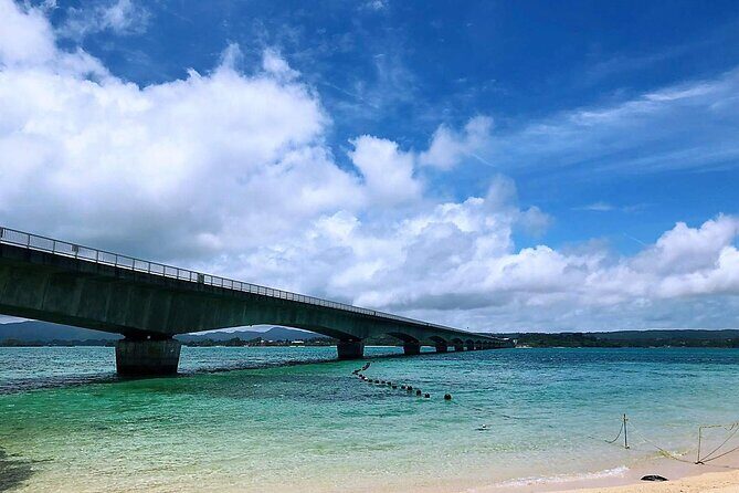 American Village &Okinawa Churaumi Aquarium Tour from Naha/Chatan - FAQ